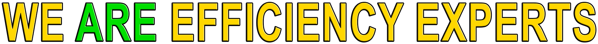 WE ARE EFFICIENCY EXPERTS